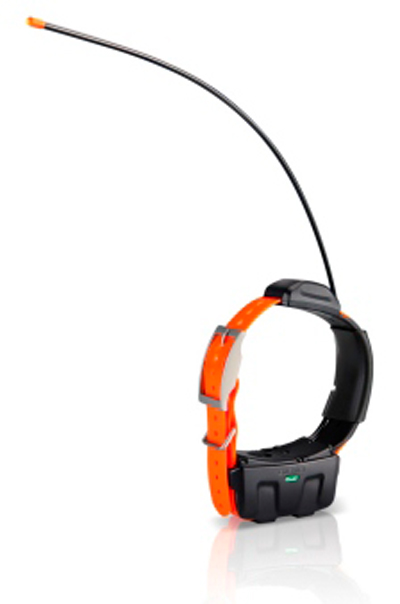 GARMIN DC 50 Halsband GARMIN DC 50 Halsband