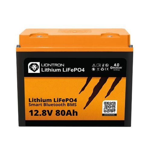 LiSmart12V55Ah