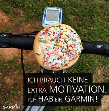 Artikel Bild