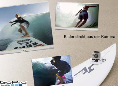 Artikel Bild
